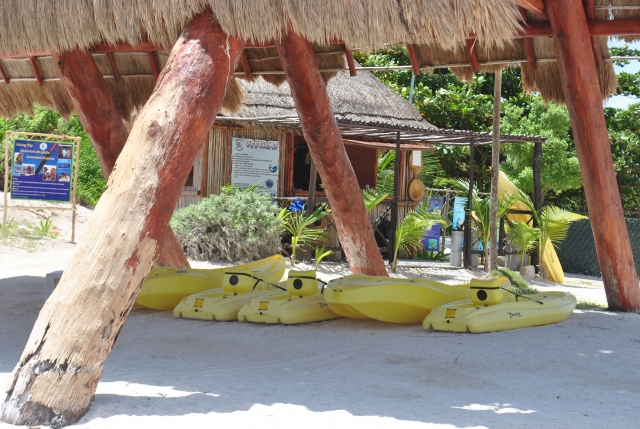 kayaks