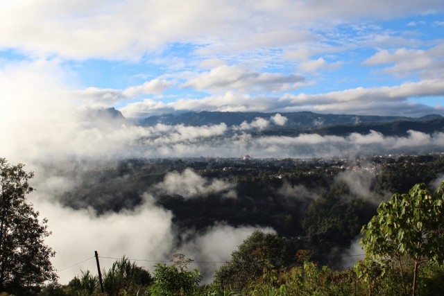 Paisaje con neblina