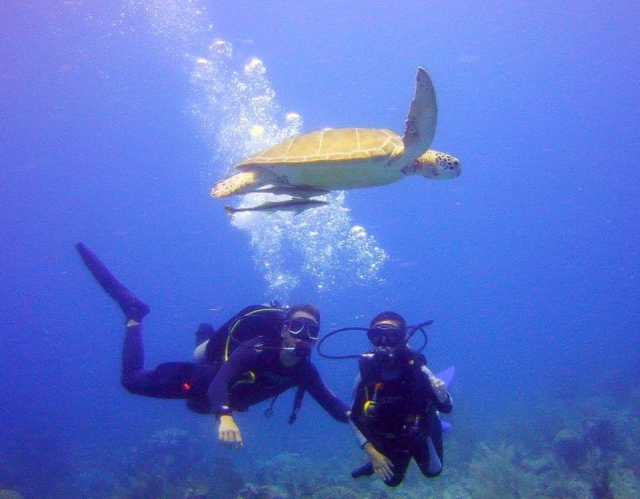 Descubriendo la fauna de Akumal