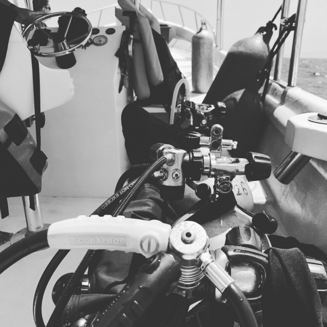 Scuba Diving Sayulita