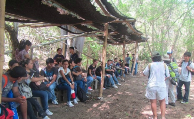 actividades colegios