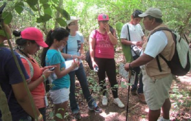 grupo de observación