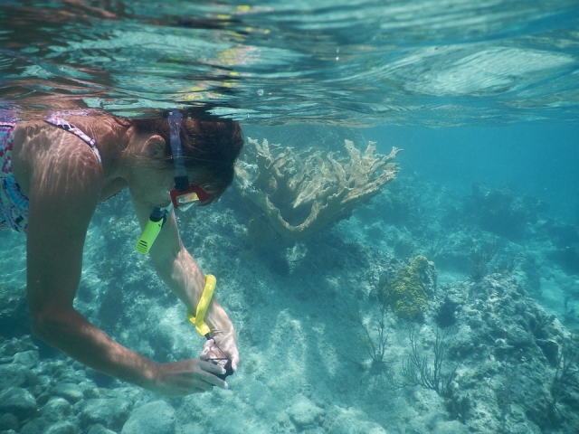 Fotografia en tu snorkel