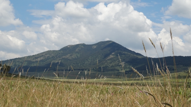 e-19721359-dsc02699.jpg