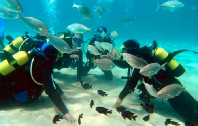 Buceo en superficie
