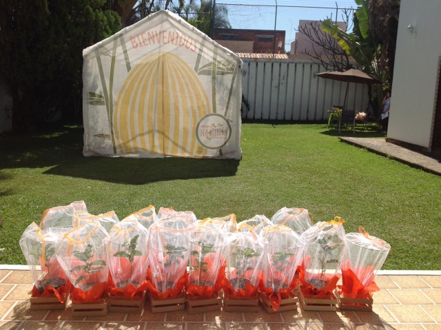 Kit de mariposas Sia Tikuvas