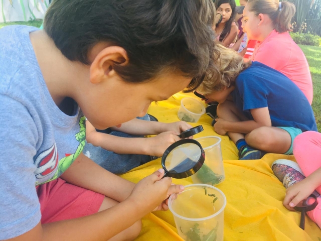 Cursos de verano en el Mariposario Sia Tikuvas