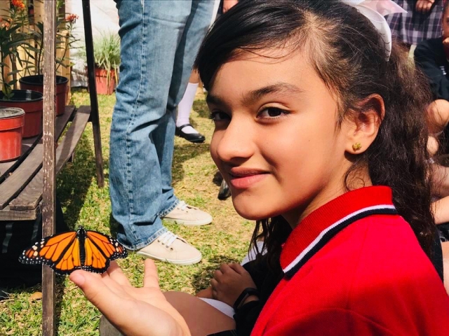 Visitas Escolaternera en el Mariposario