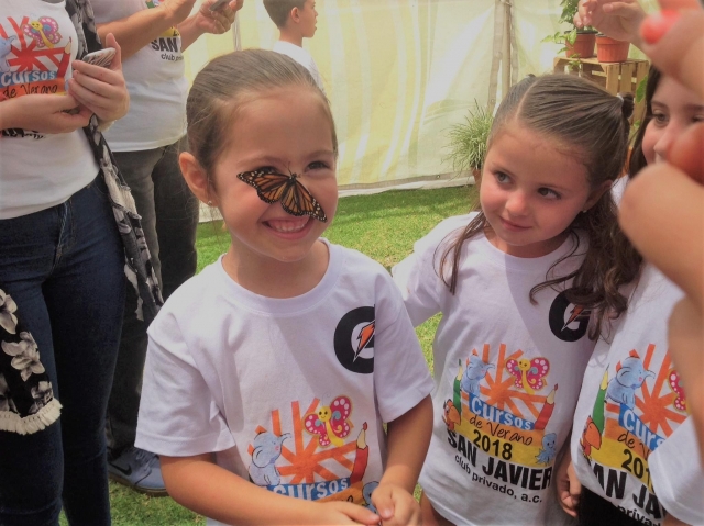 Cursos de verano en el Mariposario Sia Tikuvas