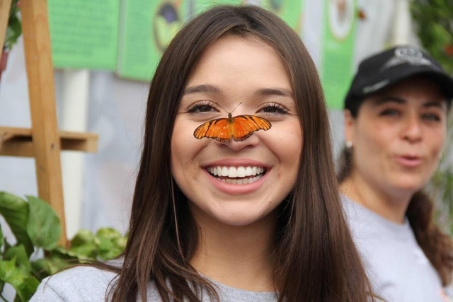Sorprendida con mariposa
