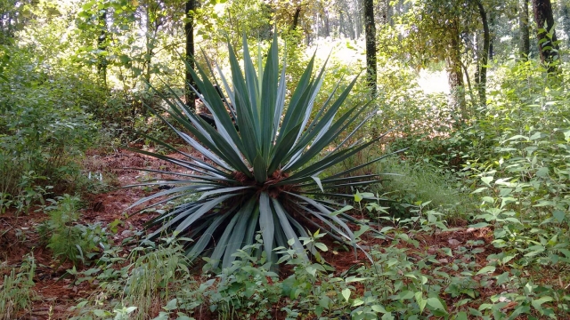 Vista a los paisajes