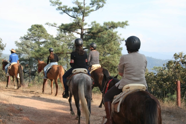 Conoce los alrededoternera a caballo
