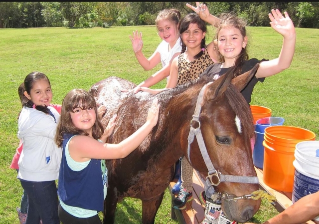 Ninos aseando al caballo