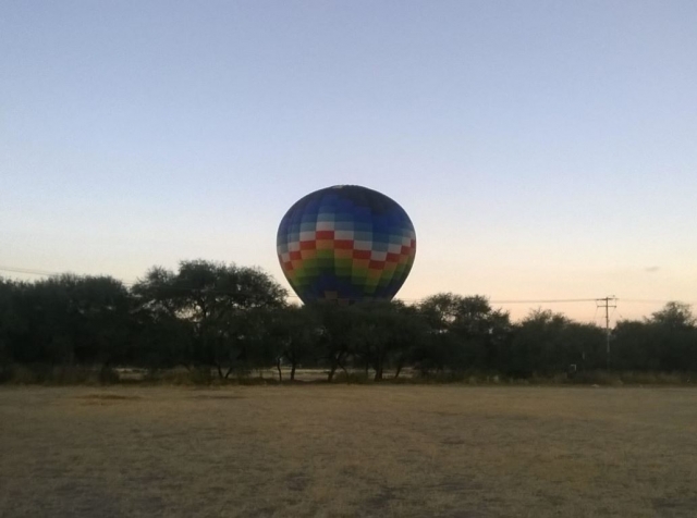 Globo tras los arboles