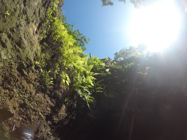 vistas del cenote