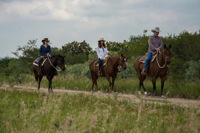 Paseos a caballo
