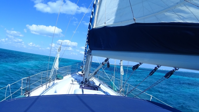 Visitas guiadas sail