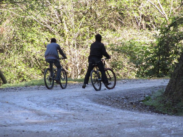 ruta en bicicleta