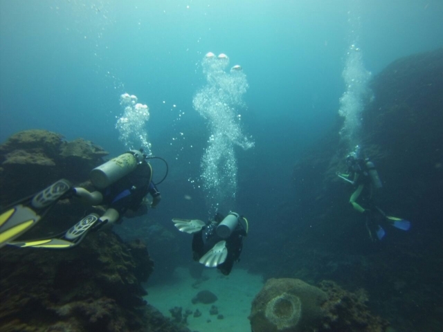 Clases de buceo 