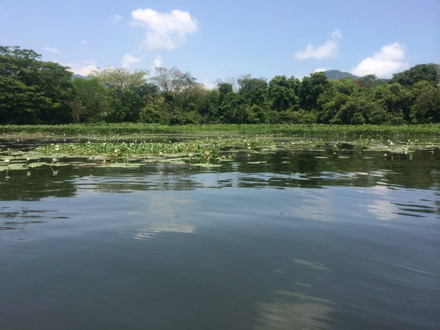 Diversion segura en bote