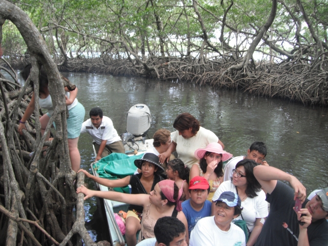 Mnglaternera de sontecompan