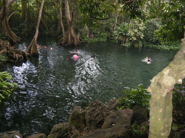 Manantial de agua cristalina