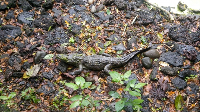 Esculturas de piedra