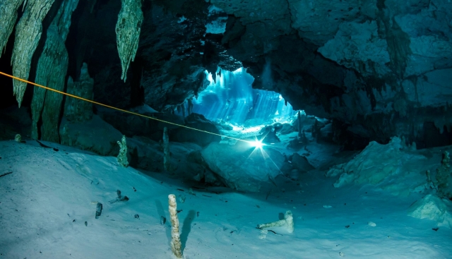 Conociendo el cenote 