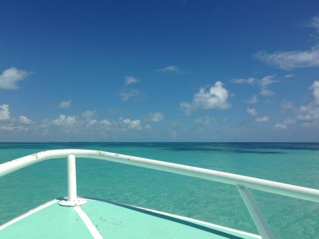 Paseo en barco en la riviera maya 