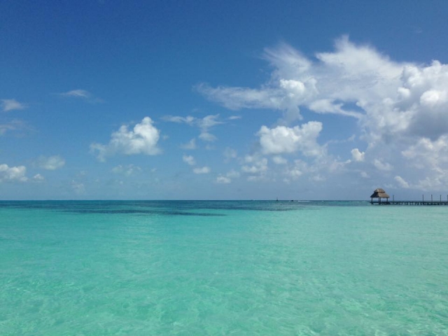 Disfrutando el paraiso 