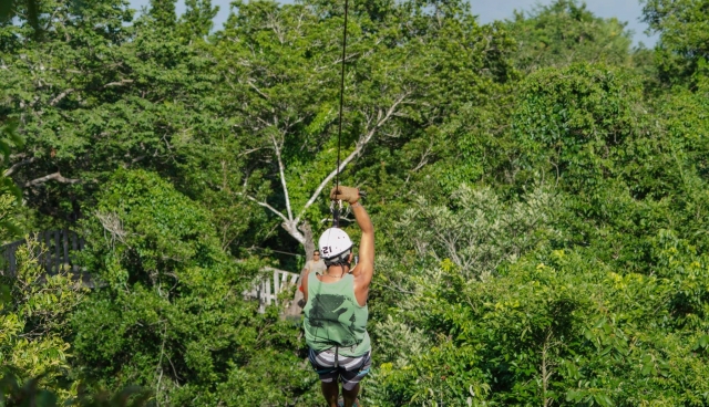 Descubiendo la selvas 