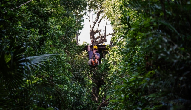 Circuito de tirolina 