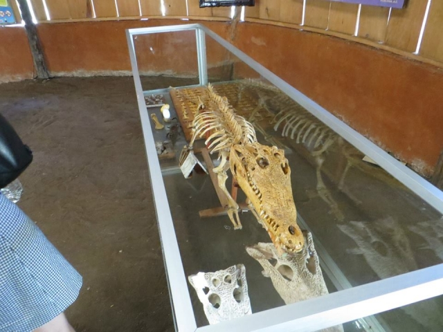 Te acercamos al museo