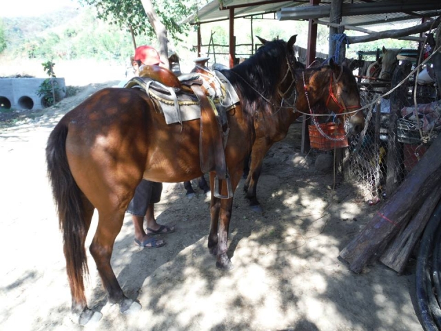 Rutas a caballo