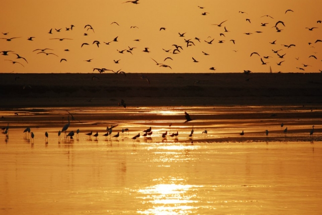 La magia de la naturaleza