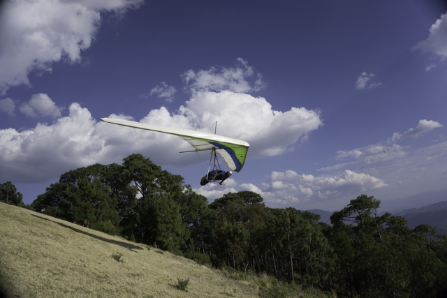 Pasion por el vuelo