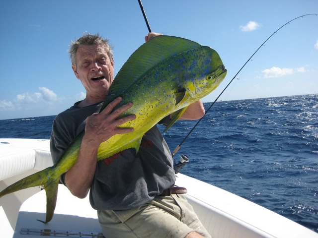 Peces dorados 