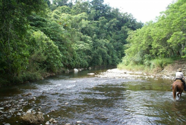 Ven a cabalgar por la zona