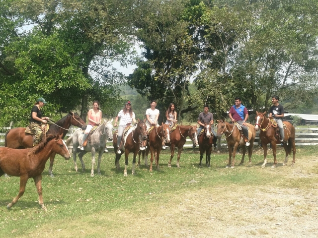 hasta 11 caballos