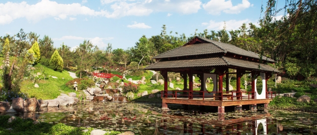 Jardin japones 