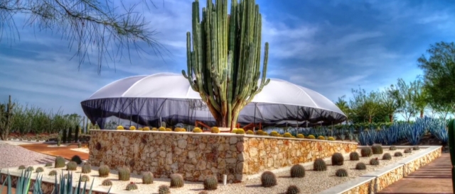 Lugar para cactus 