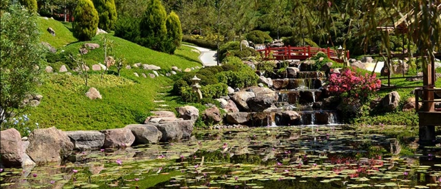 Cascada del jardin japones 