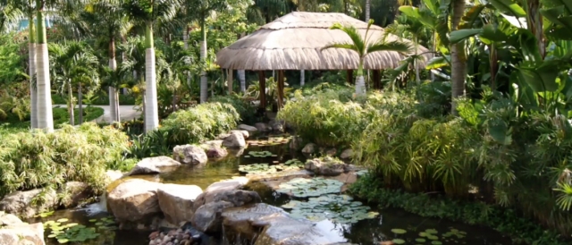 Entre palmeras y orquideas descubre el jardin tropical 
