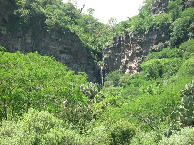 en los parajes naturales
