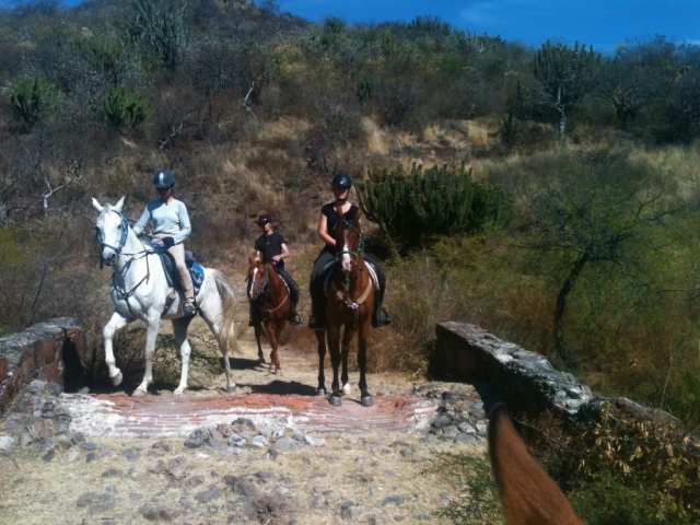 Recorridos por oaxaca
