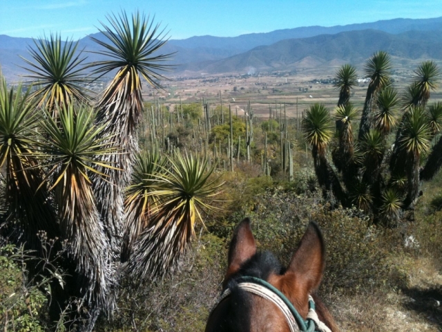 Paisajes maravillosos