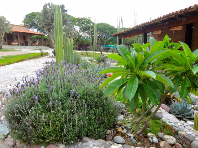 Conoce nuestras instalaciones 