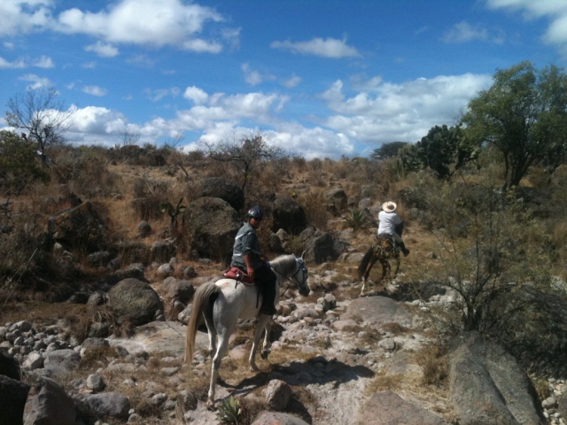 Coge diferentes caminos en oaxaca 