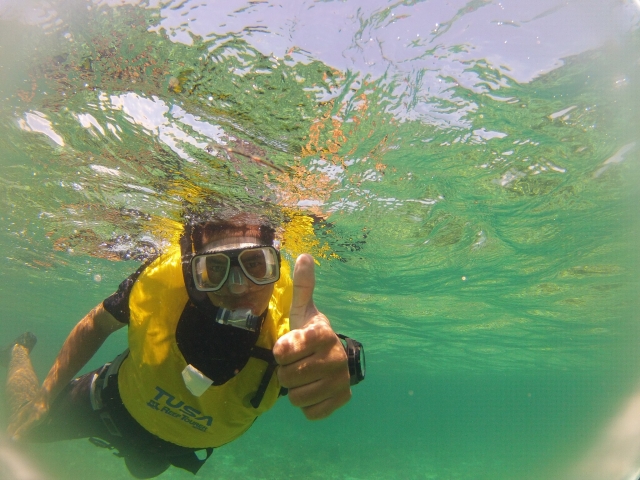 Recorridos guiados por el mar 