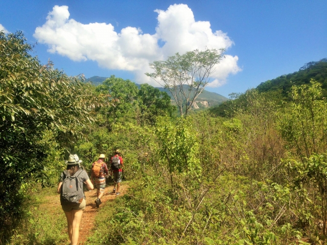 Senderismo por la sierra norte de oaxaca 